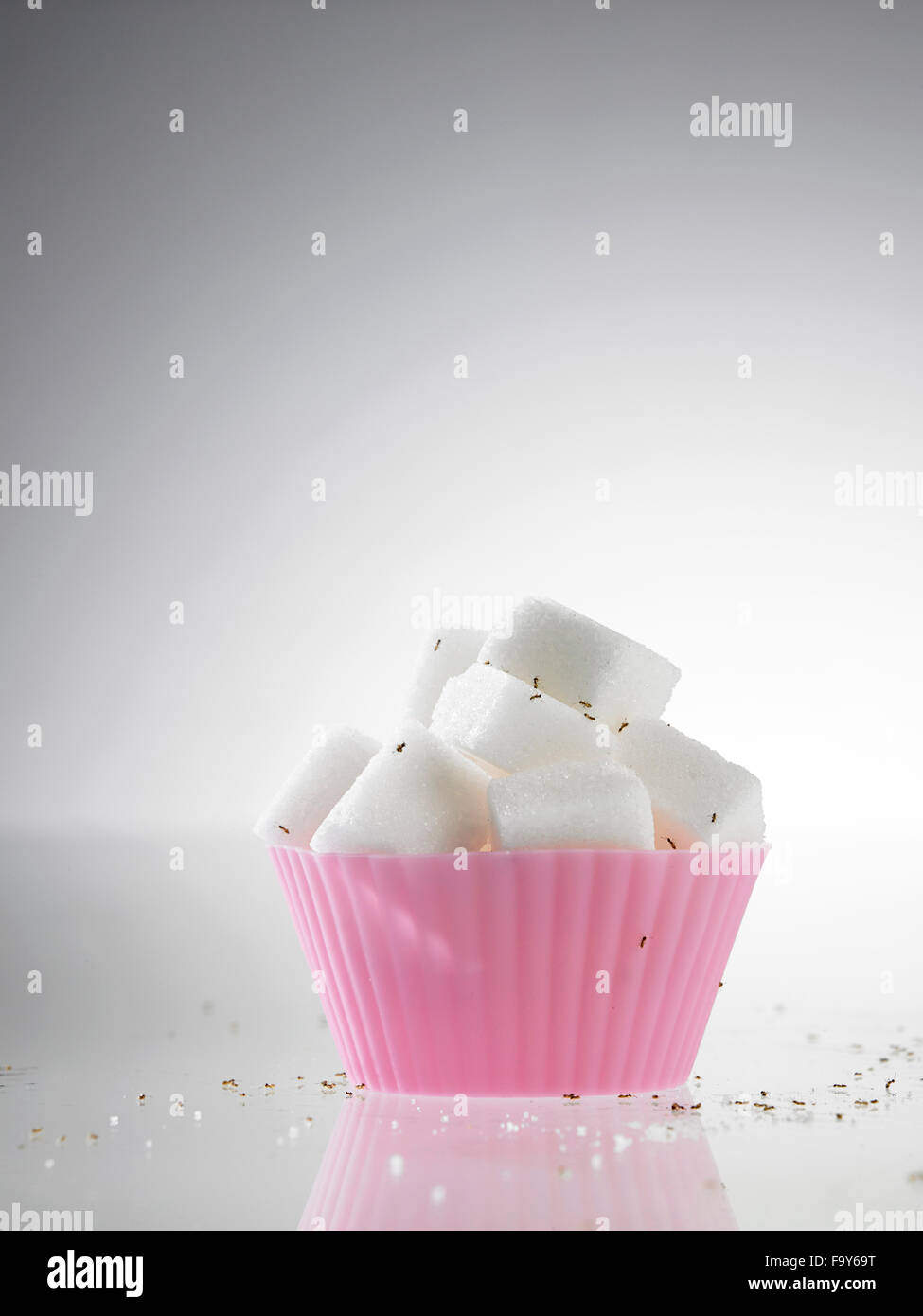 Le sucre en cubes cup cake moule entouré de fourmis Banque D'Images