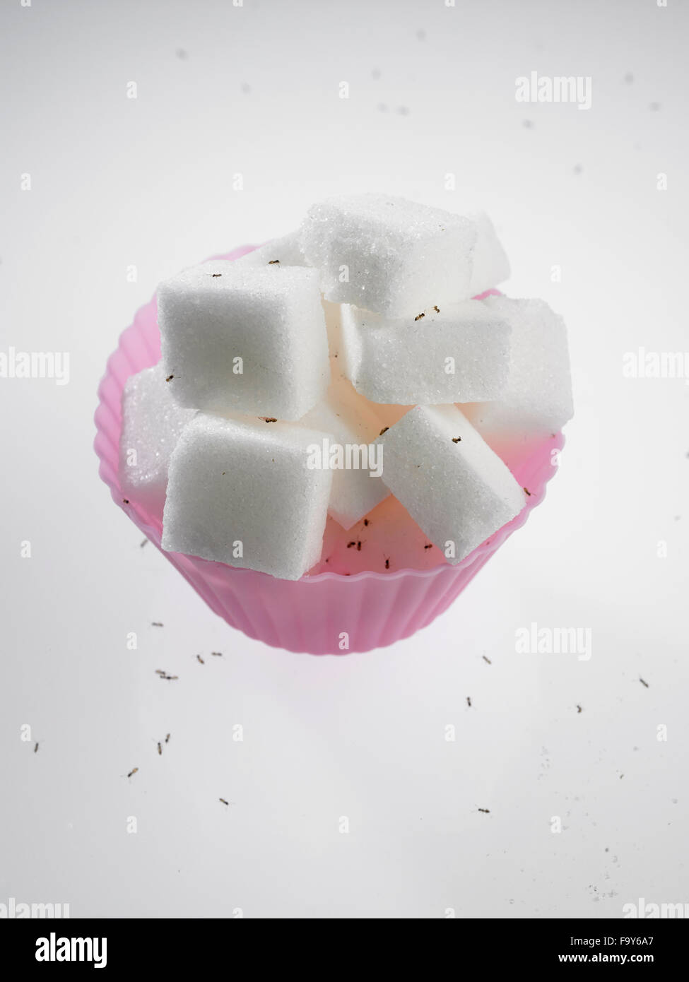 Le sucre en cubes cup cake moule entouré de fourmis Banque D'Images