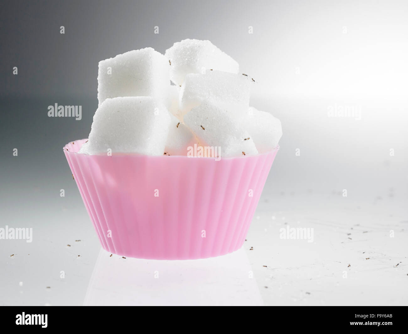 Le sucre en cubes cup cake moule entouré de fourmis Banque D'Images