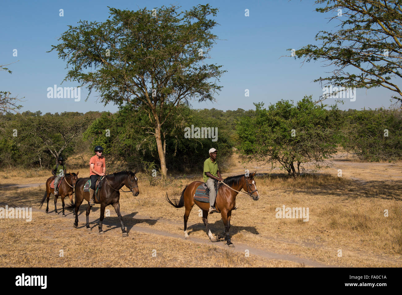 Safari a cheval, le parc national du lac Mburo, Ouganda Banque D'Images