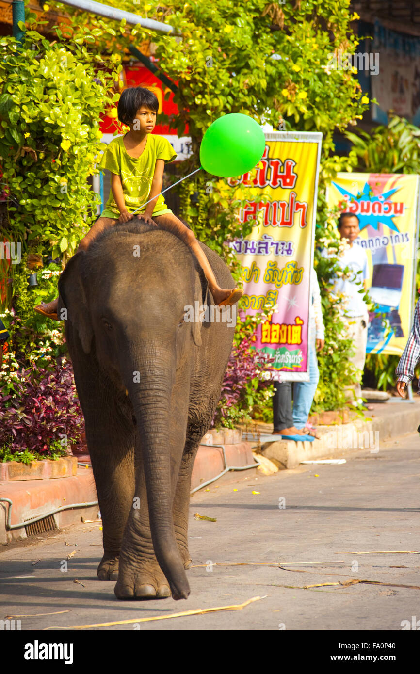 Jeune fille thaïe holding green balloon à cheval sur le dos d'un bébé éléphant sur une rue du centre-ville d'éléphants à Surin Round-up Banque D'Images