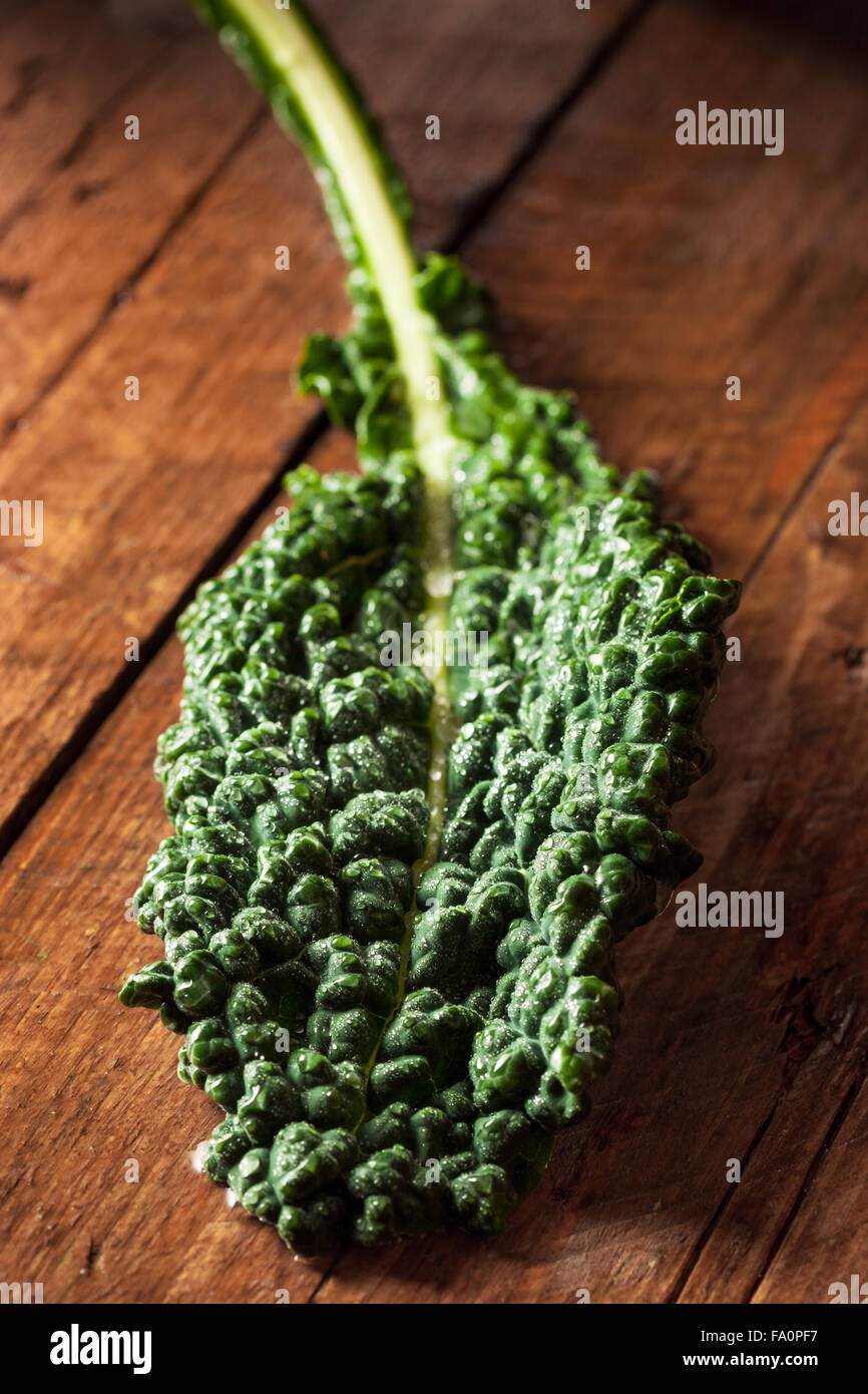 The Vert Lacinato Kale prêt à manger Banque D'Images