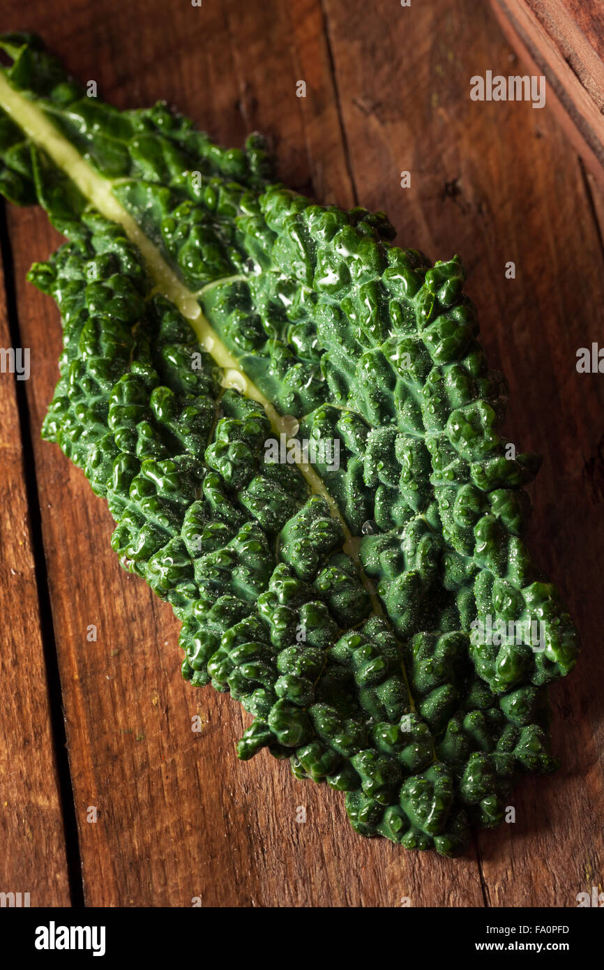 The Vert Lacinato Kale prêt à manger Banque D'Images