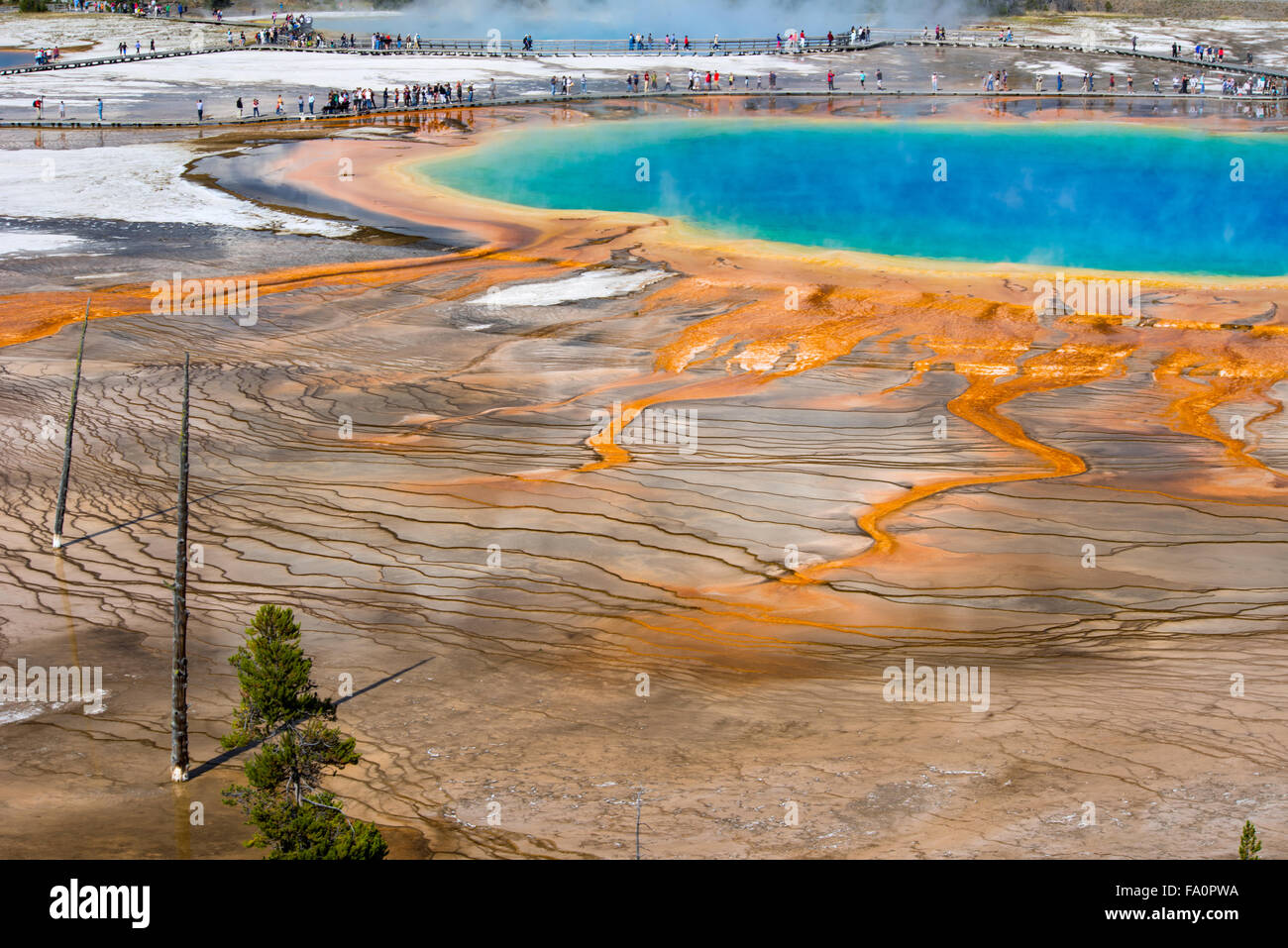 Grand Prismatic Spring, le Parc National de Yellowstone, Wyoming Banque D'Images