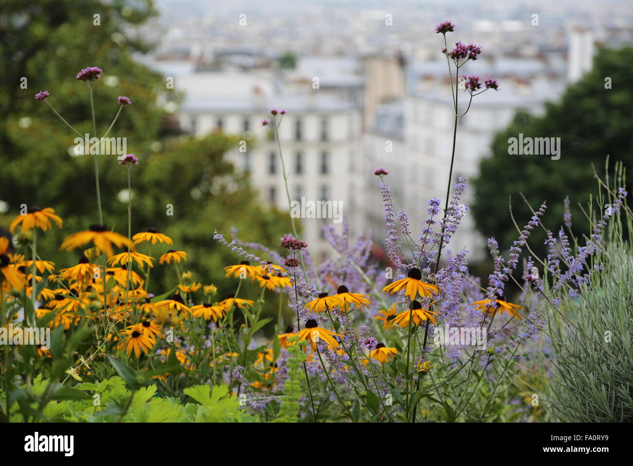 Vue sur Paris depuis la Basilique du Sacré-Cœur de Paris, communément connu sous le nom de Basilique du Sacré-Cœur, avec des fleurs en premier plan Banque D'Images