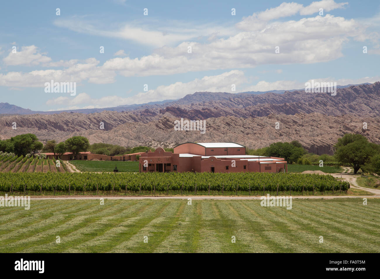 Angastaco, Argentine - 13 novembre 2015 : Photo du vignoble Bodega El CESE sur la route 40 dans le nord-ouest de l'Argentine. Banque D'Images