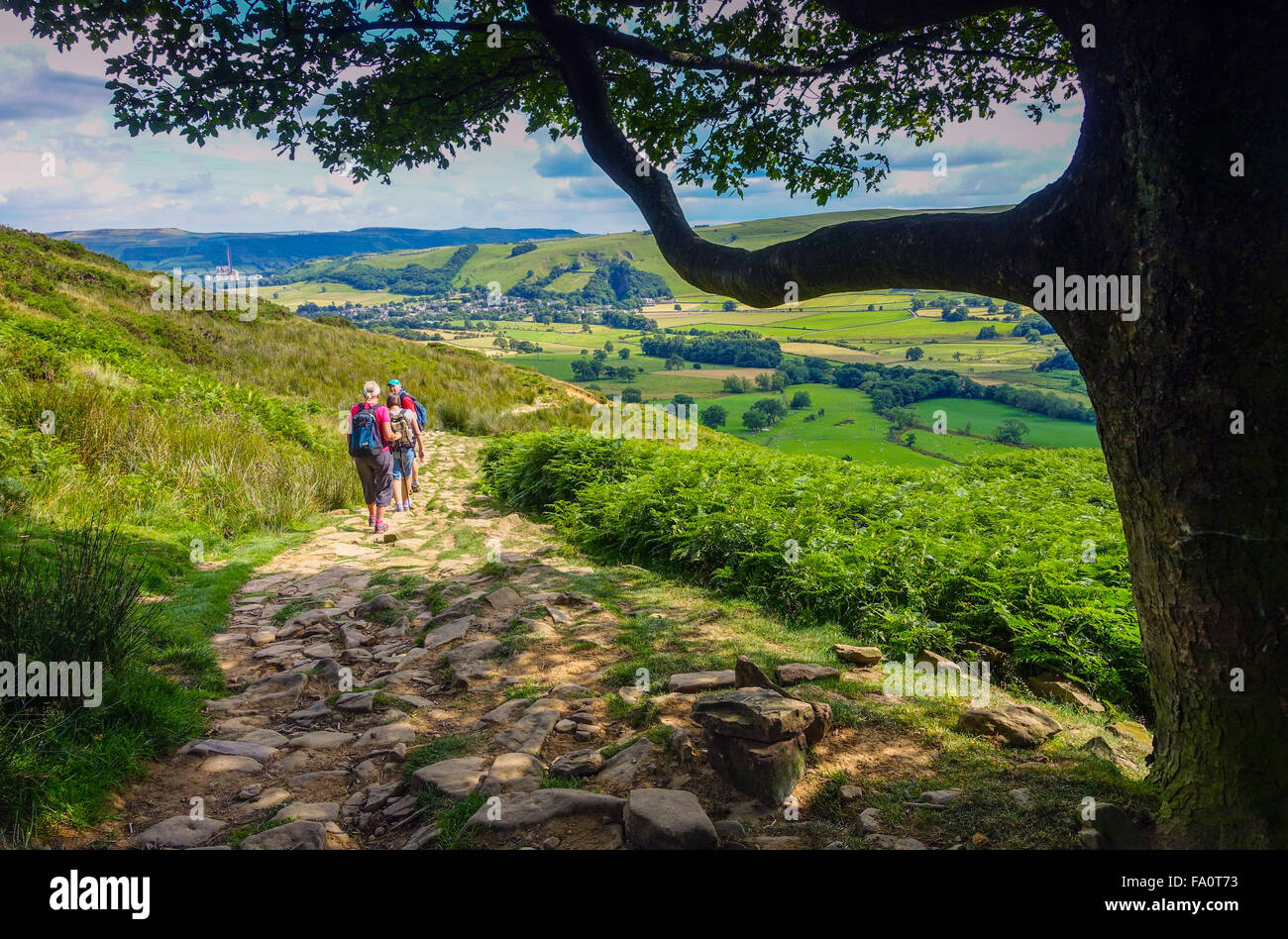 Toi les promeneurs sur le sentier étroit descendant vers avec arbres surplombant la vallée Banque D'Images