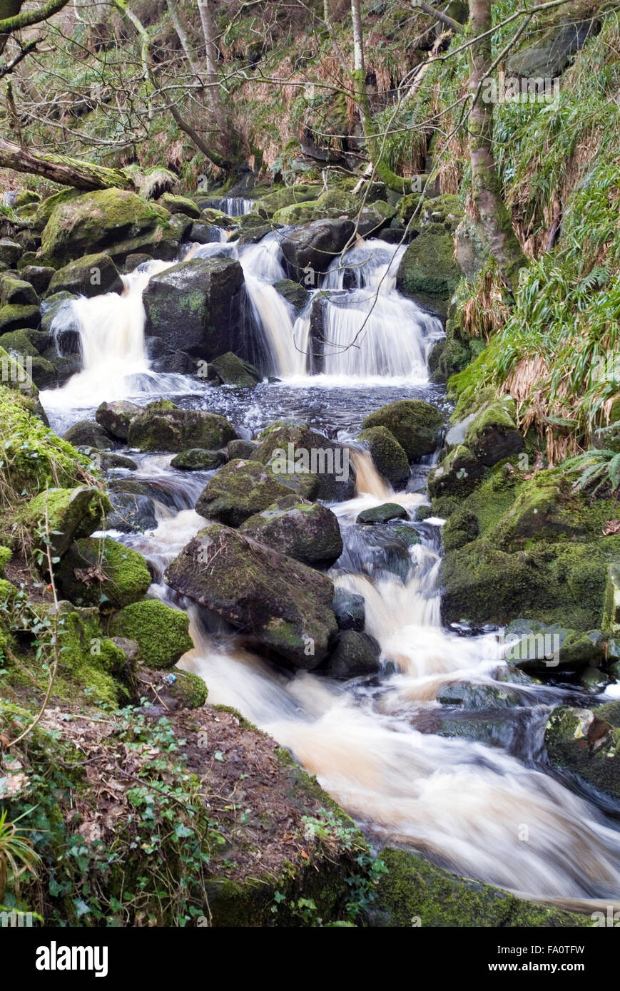 Wicklow mountains cascade, l'Irlande, Europe Banque D'Images