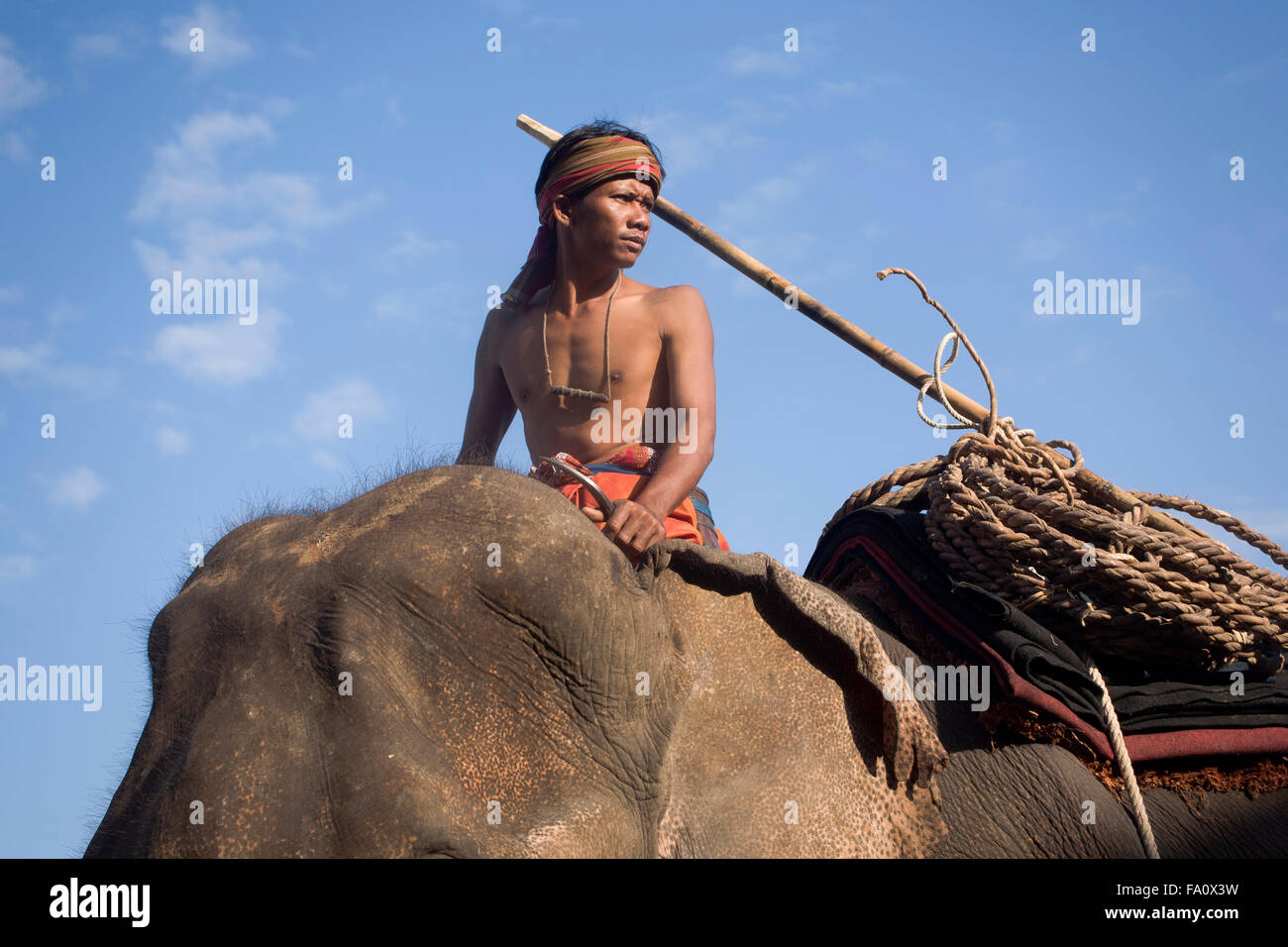 Mahout et éléphant de travail Thaïlande S. E. Asie Banque D'Images