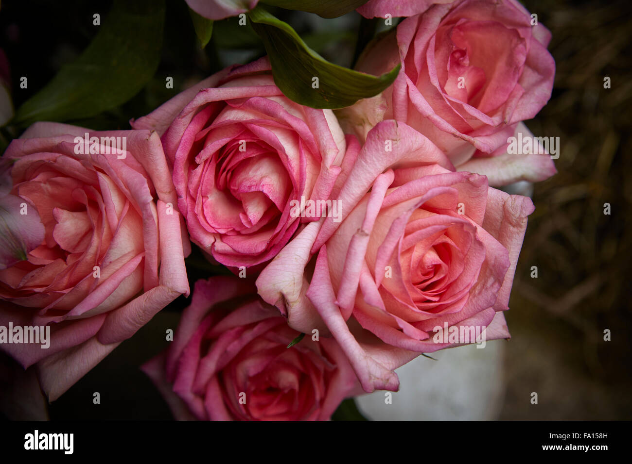 Bouquet de fleurs rose photographiés dans un paramètre extérieur grungy Banque D'Images