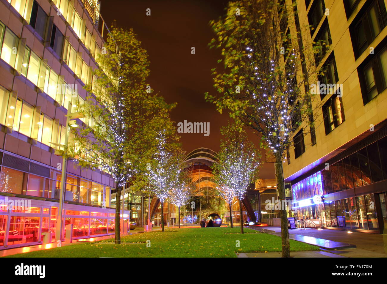 Le Jardin d'hiver vu de St Paul's Place en centre-ville de Sheffield, South Yorkshire, Angleterre, Royaume-Uni Banque D'Images