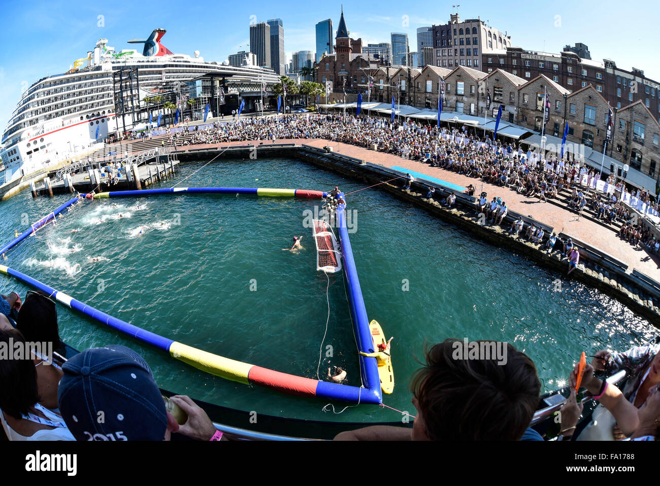 Sydney, Australie. Dec 19, 2015. Le water-polo série par la mer. Série d'essais internationaux de l'Australie contre l'Italie. 2 jeu de Campbell's Cove. L'Italie a gagné 14-10. Credit : Action Plus Sport/Alamy Live News Banque D'Images