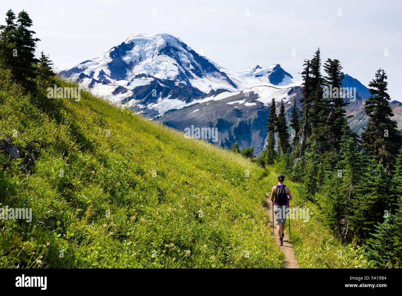 Sentier de randonnée de la fracture Skyline, Mt. Baker-Snoqualmie National Forest, Virginia, United States. Banque D'Images