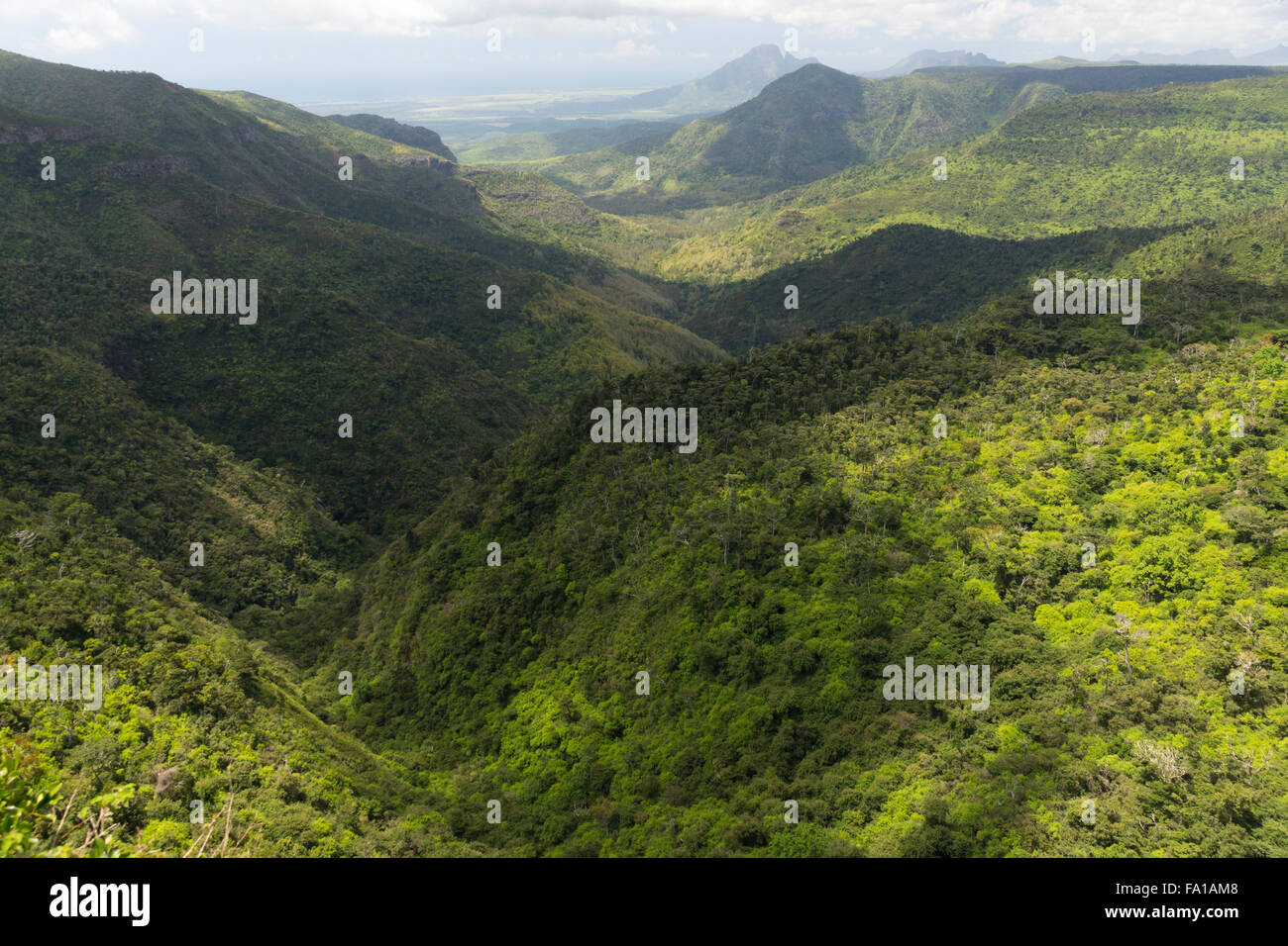 Une vue sur le parc national
