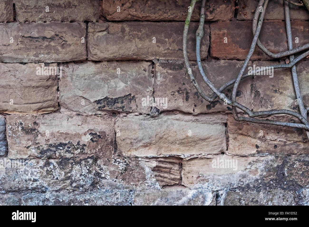 Muraille Médiévale calcaire de blocs de pierre texture background direction usine de surface sur le côté. Banque D'Images