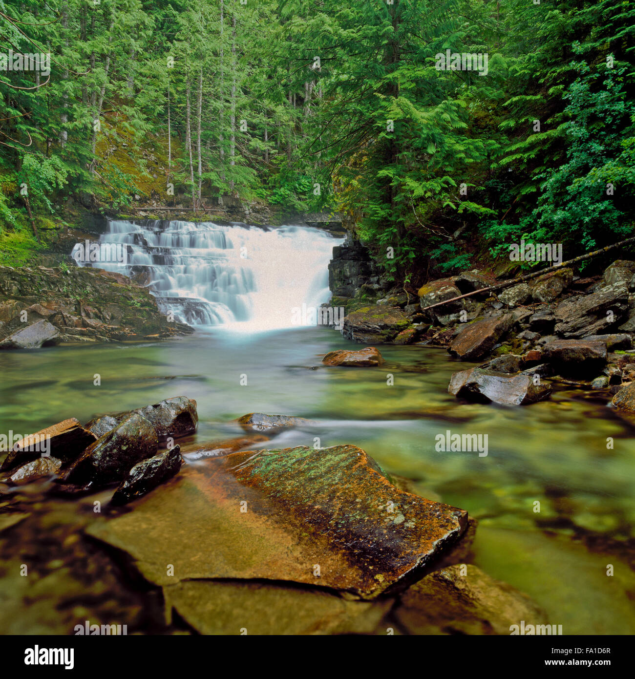 Cascade sur Ross Creek, près de Troy, Montana Banque D'Images