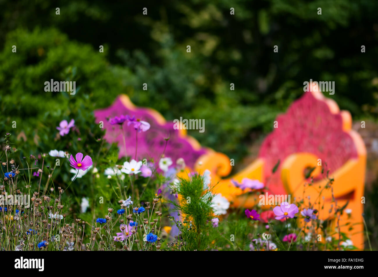 Jardin de fleurs sauvages et de bancs piscine espace détente Banque D'Images