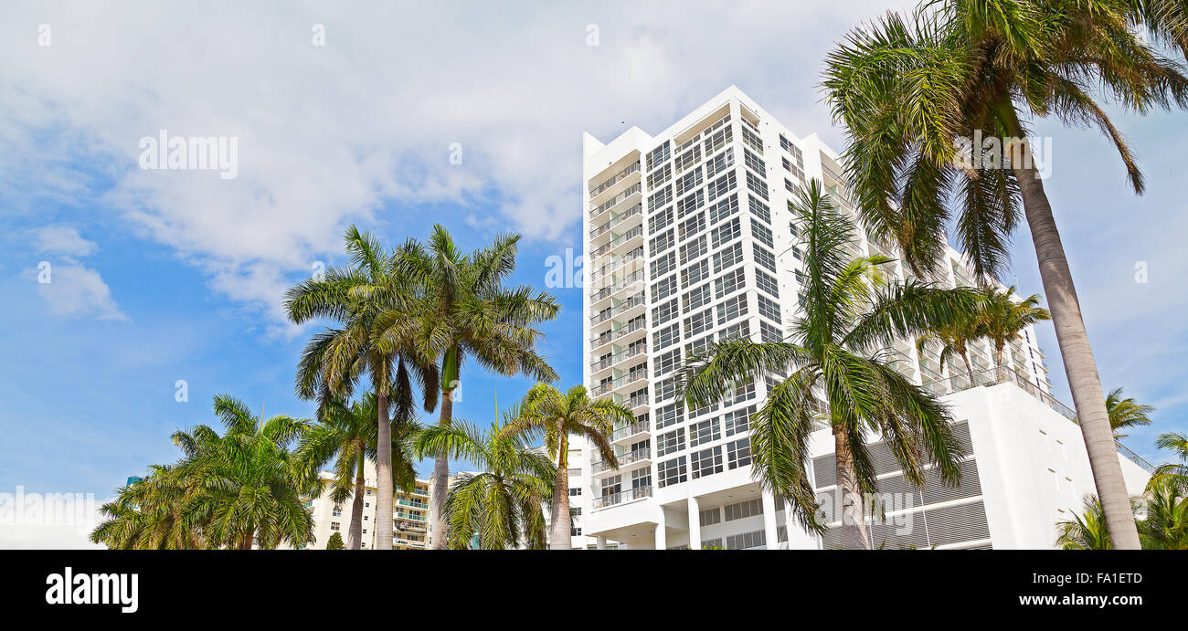 Boulevard à Miami Beach, Floride, USA avec de grands palmiers et de bâtiments blancs. Banque D'Images