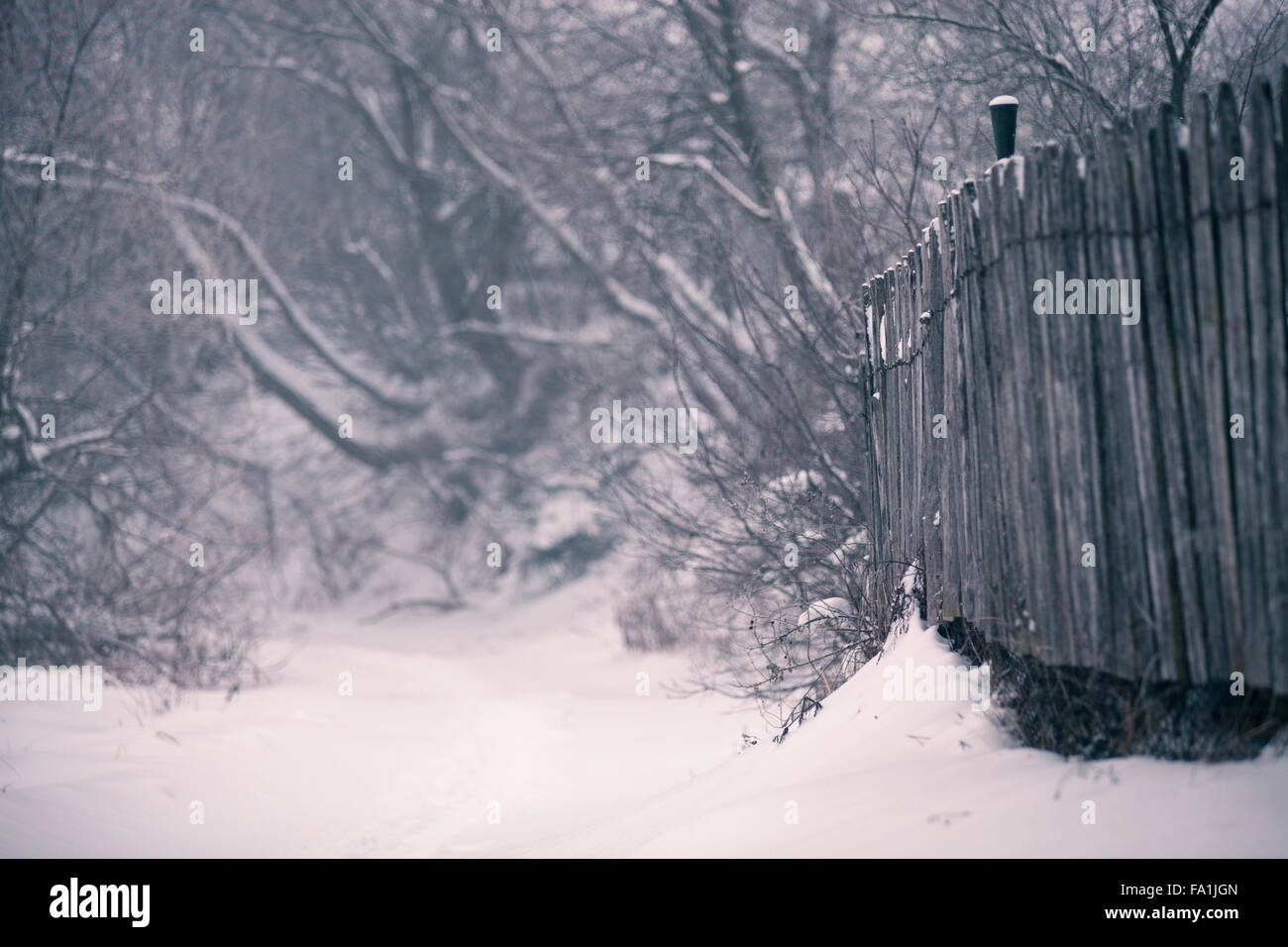 La neige et l'hiver. Le Bélarus village, campagne en hiver Banque D'Images