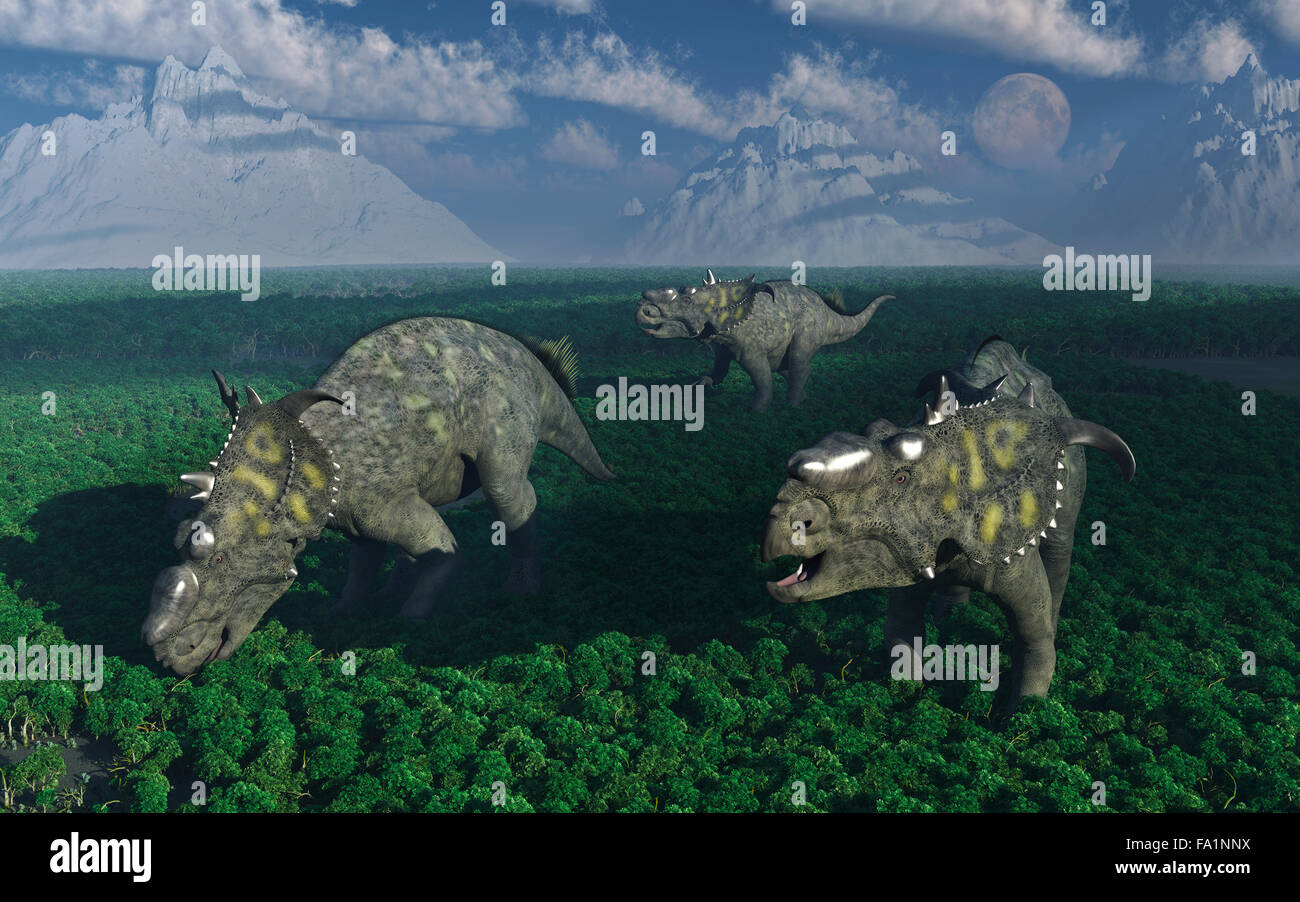 Pachyrhinosaurus dinosaures. Banque D'Images