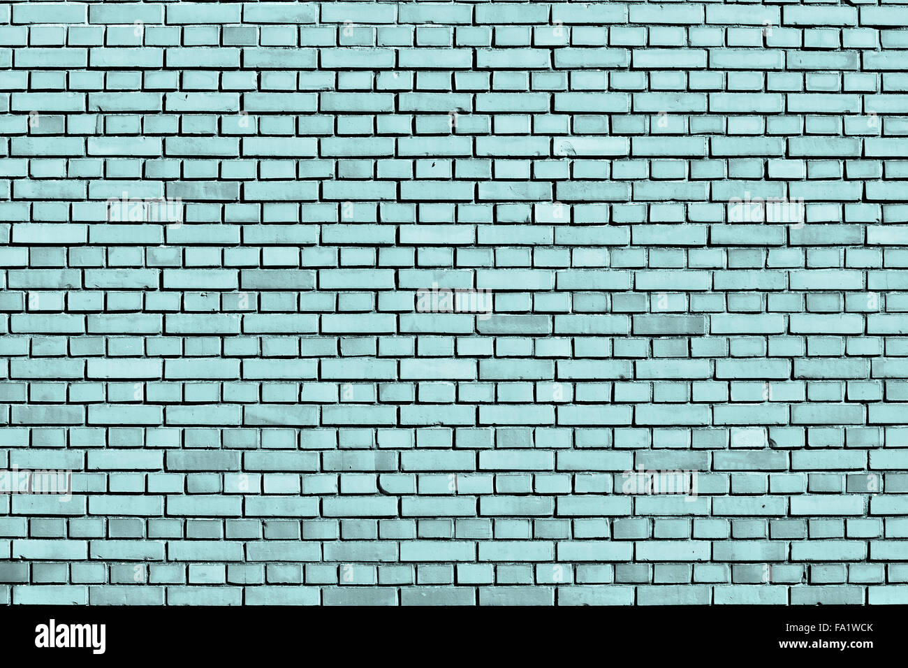 Blue shell patelle brick wall background Banque D'Images