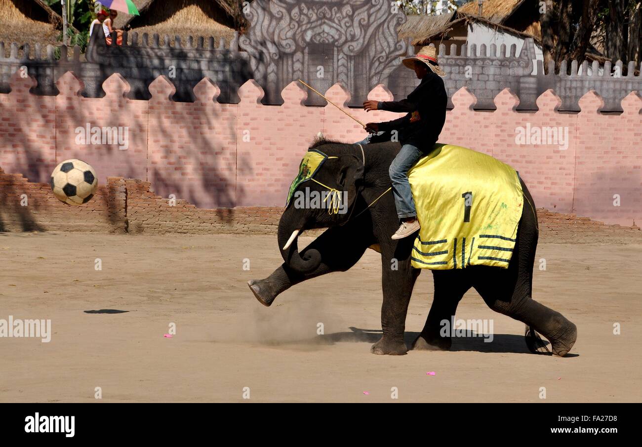 Hua Hin, Thaïlande : Trainer sur son éléphant jouer basket pendant le Hua Hin Safari Elephant Village tous Banque D'Images