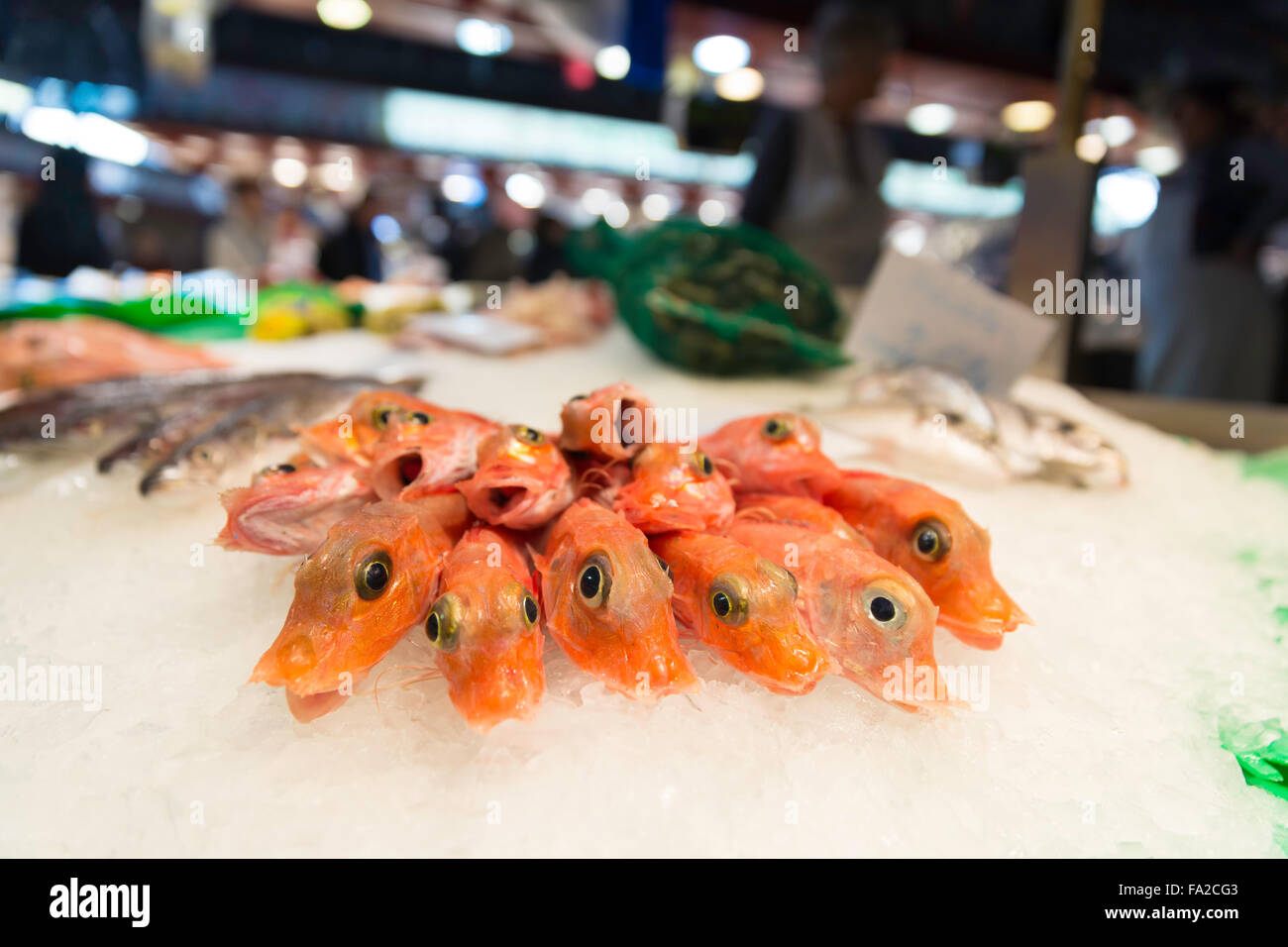 Crevettes crues fraîches sur l'affichage de la glace concassée au fish market store shop Banque D'Images