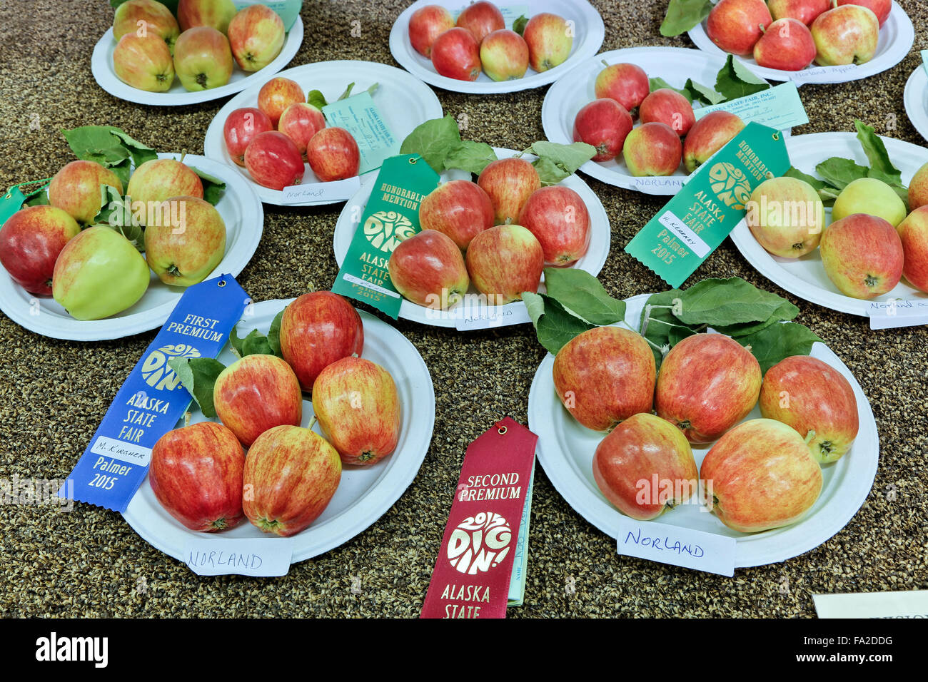 La concurrence, les pommes Norland 2015 Foire de l'état de l'Alaska. Banque D'Images
