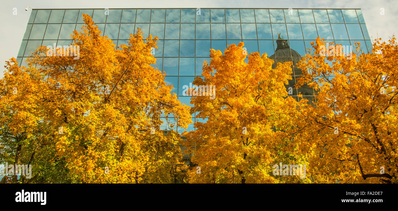 IDAHO State Capitol se reflétant dans la galerie des Glaces bordé par les arbres d'automne. Boise, Idaho, USA Banque D'Images