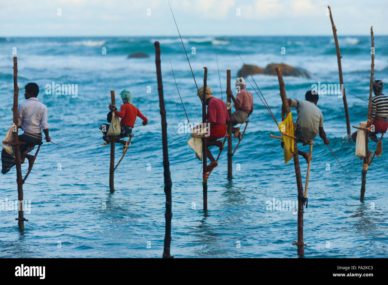 De nombreux pêcheurs sur pilotis du Sri Lanka prises de petits poissons dans la méthode traditionnelle, en haut, au-dessus de l'eau Banque D'Images