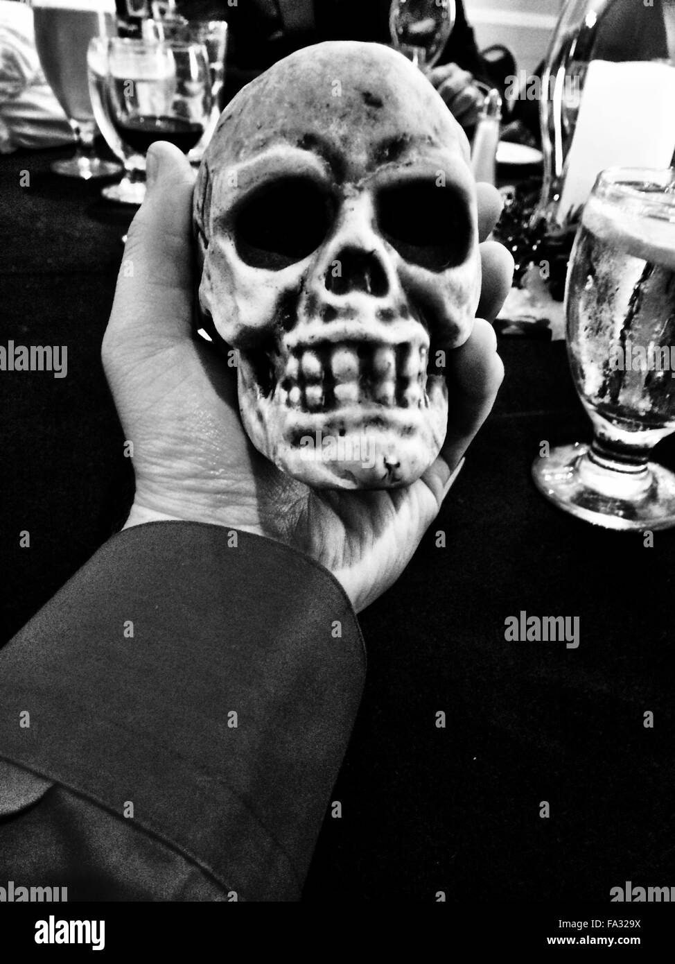 Être ou ne pas être ? (Crâne) Banque D'Images