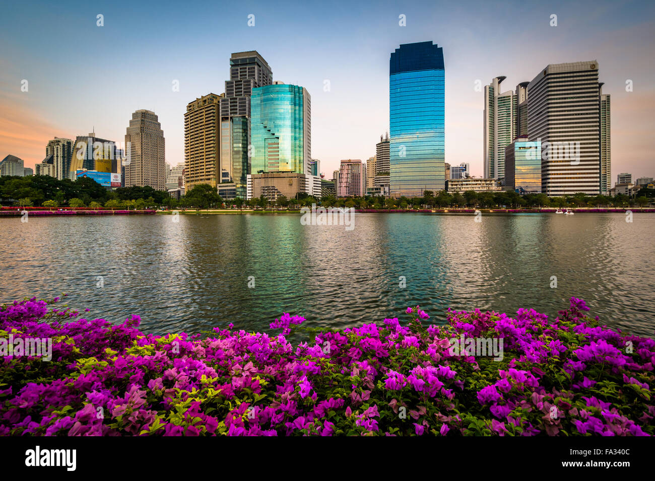 Fleurs roses et les gratte-ciel modernes le long du lac Rajada au coucher du soleil, au parc Benjakiti, à Bangkok, Thaïlande. Banque D'Images