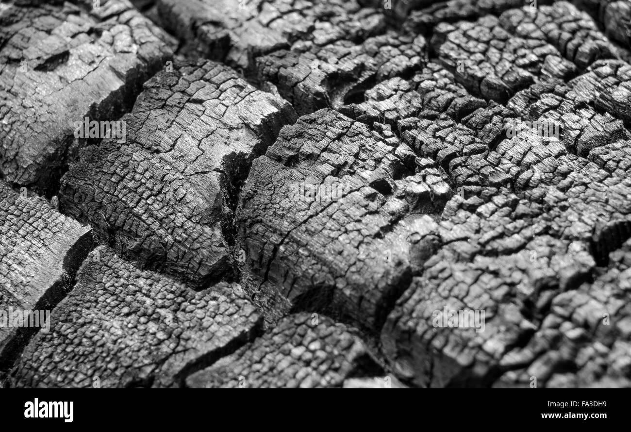 Plus de détails sur la surface du charbon de bois. Macro avec petite profondeur de champ Banque D'Images
