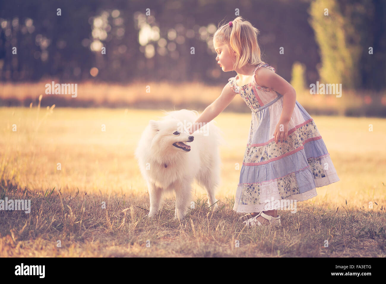 Petite fille jouant avec un chien dans un parc Banque D'Images