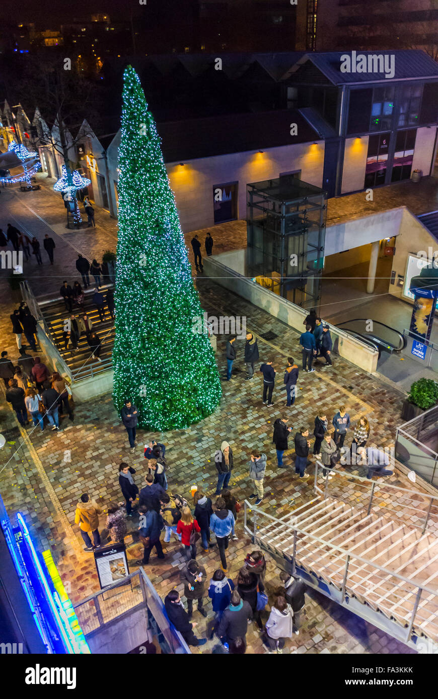 Paris, France, scènes de rue, foule de gens bénéficiant de Noël lumières,  décor d'arbres à Bercy Village, commerces et restaurants, à l'antenne de  nuit Photo Stock - Alamy