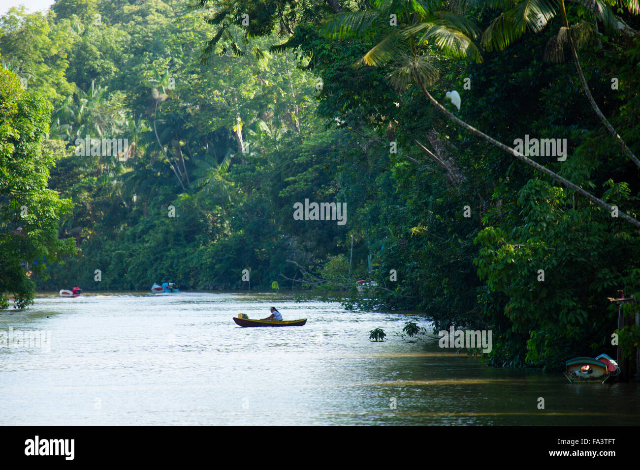 Un ruisseau en Amazonie brésilienne Banque D'Images