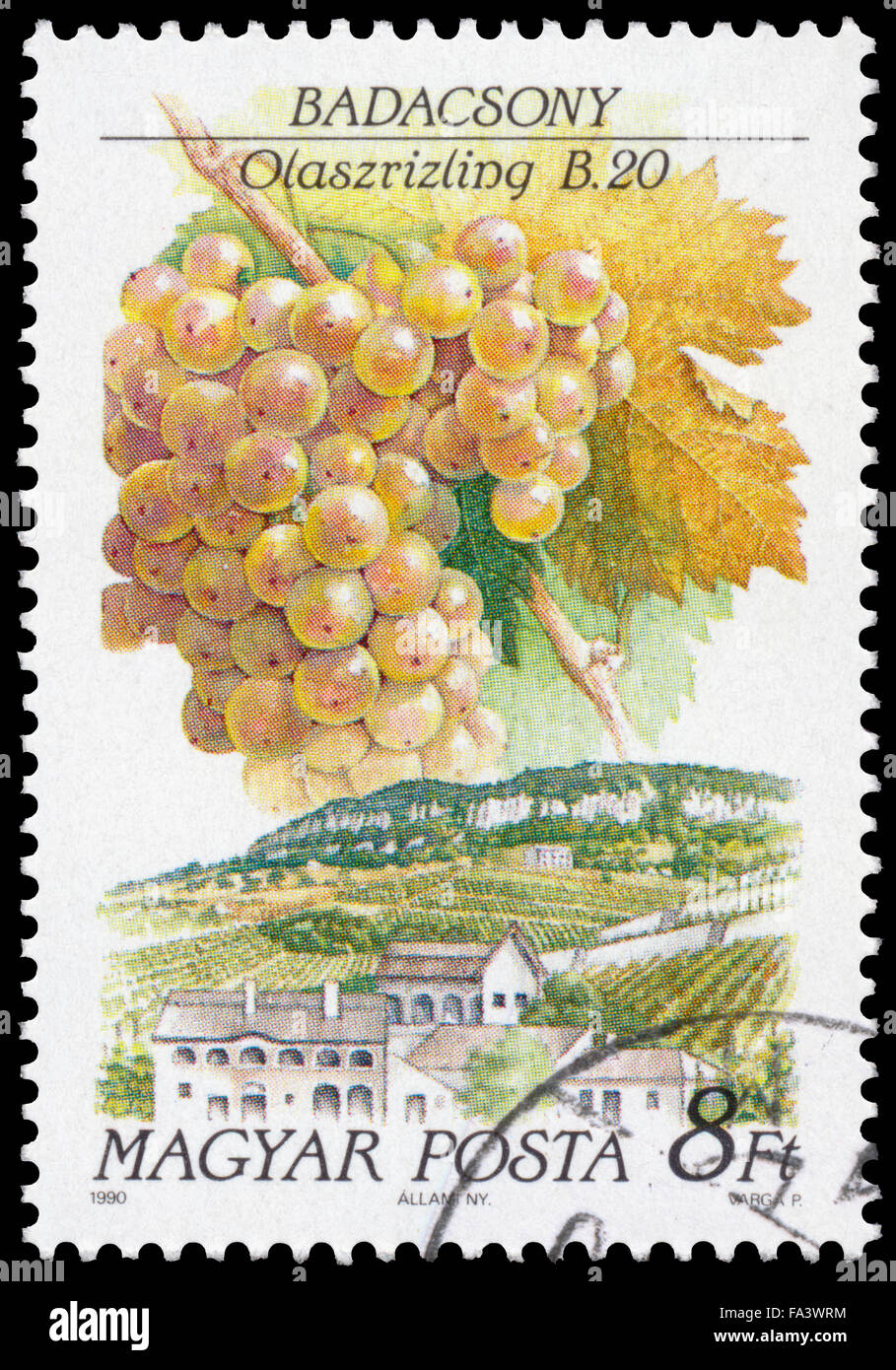 Hongrie - circa 1990 : timbre imprimé en Hongrie montre les raisins Riesling italien et le paysage de Badacsony Banque D'Images