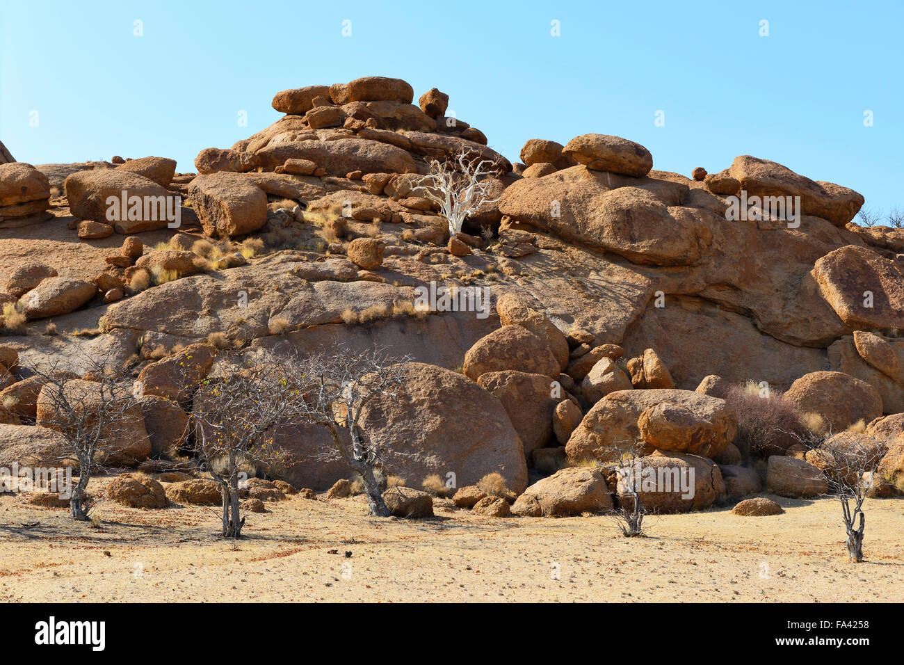 Paysage désert Boulder dans le Damaraland, Namibie Banque D'Images