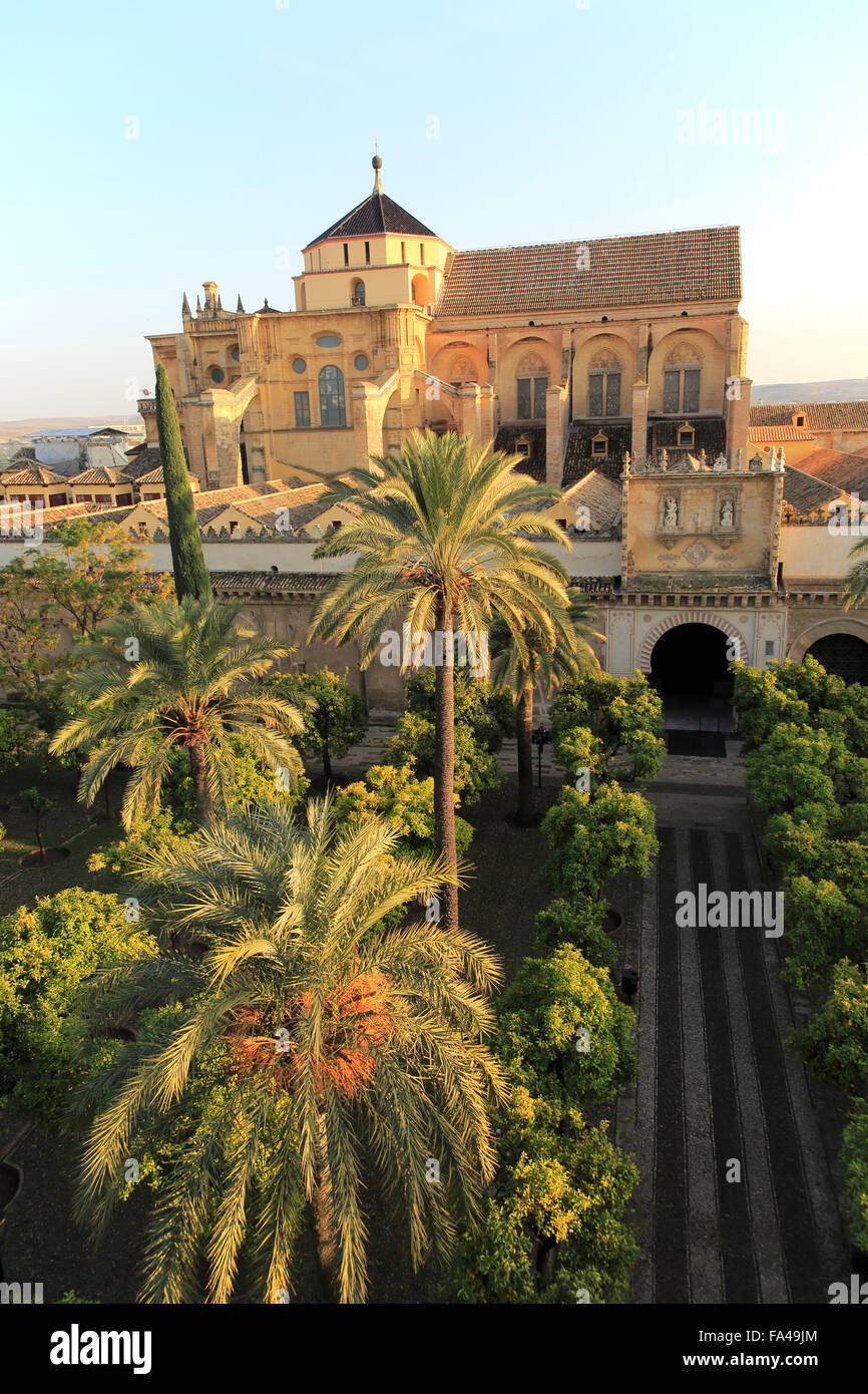 De fait, la Grande Mosquée Cathédrale Mezquita, ancien immeuble dans le centre de la mosquée, Cordoue, Espagne Banque D'Images