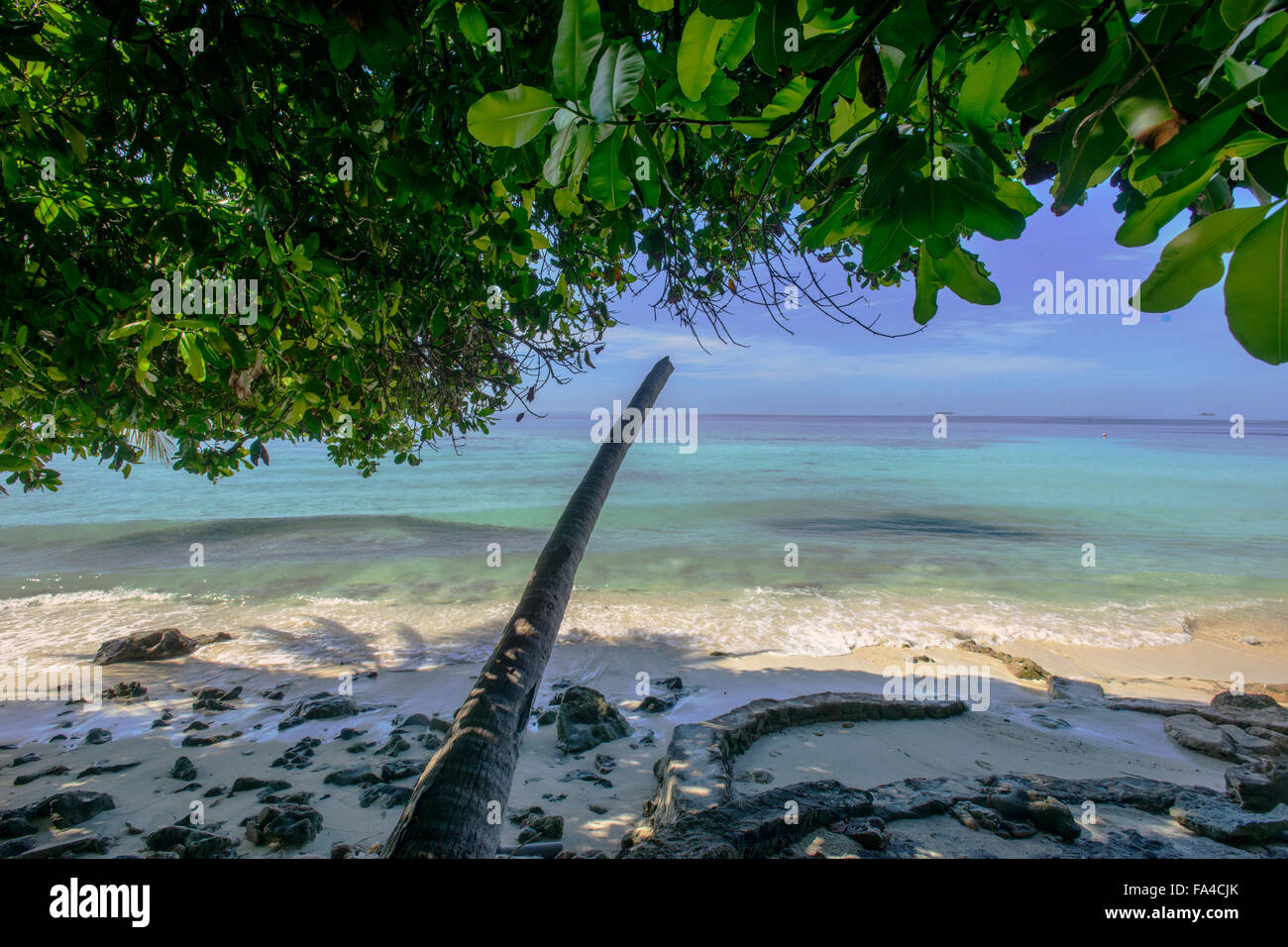 Biyahdoo Island, Maldives, océan Indien. Banque D'Images