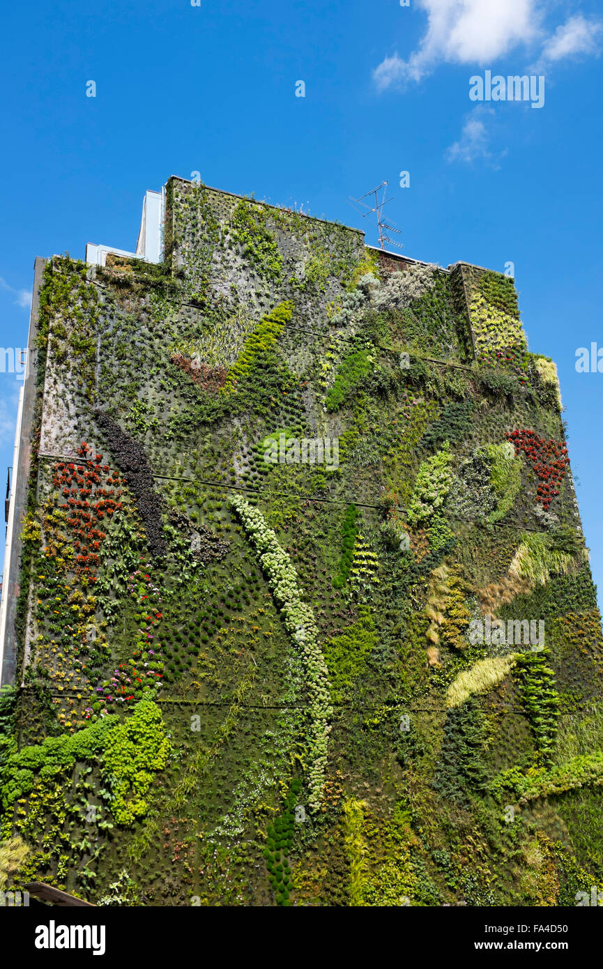 Vivant à l'extérieur de la paroi végétale Musée Caixa Forum de Madrid Banque D'Images