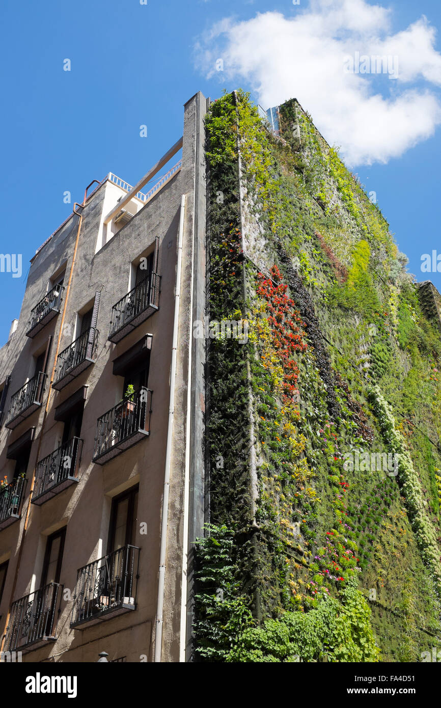 Vivant à l'extérieur de la paroi végétale Musée Caixa Forum de Madrid Banque D'Images