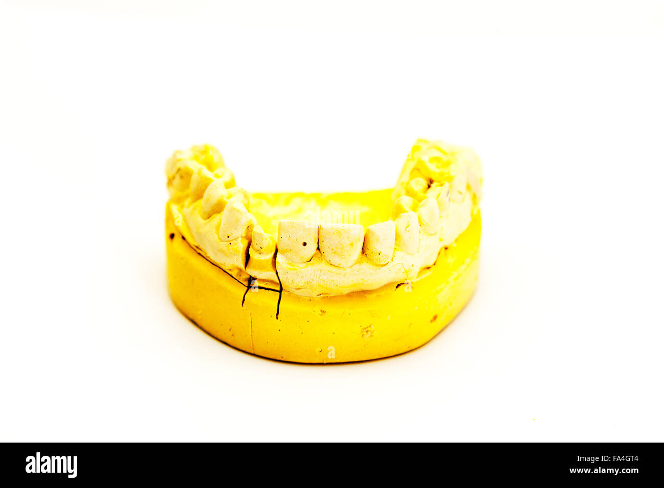 Moule en plâtre impression dents dentiste prothèses prothèse 3D Découpe la mâchoire inférieure de l'arrière-plan blanc copie espace isolé Banque D'Images