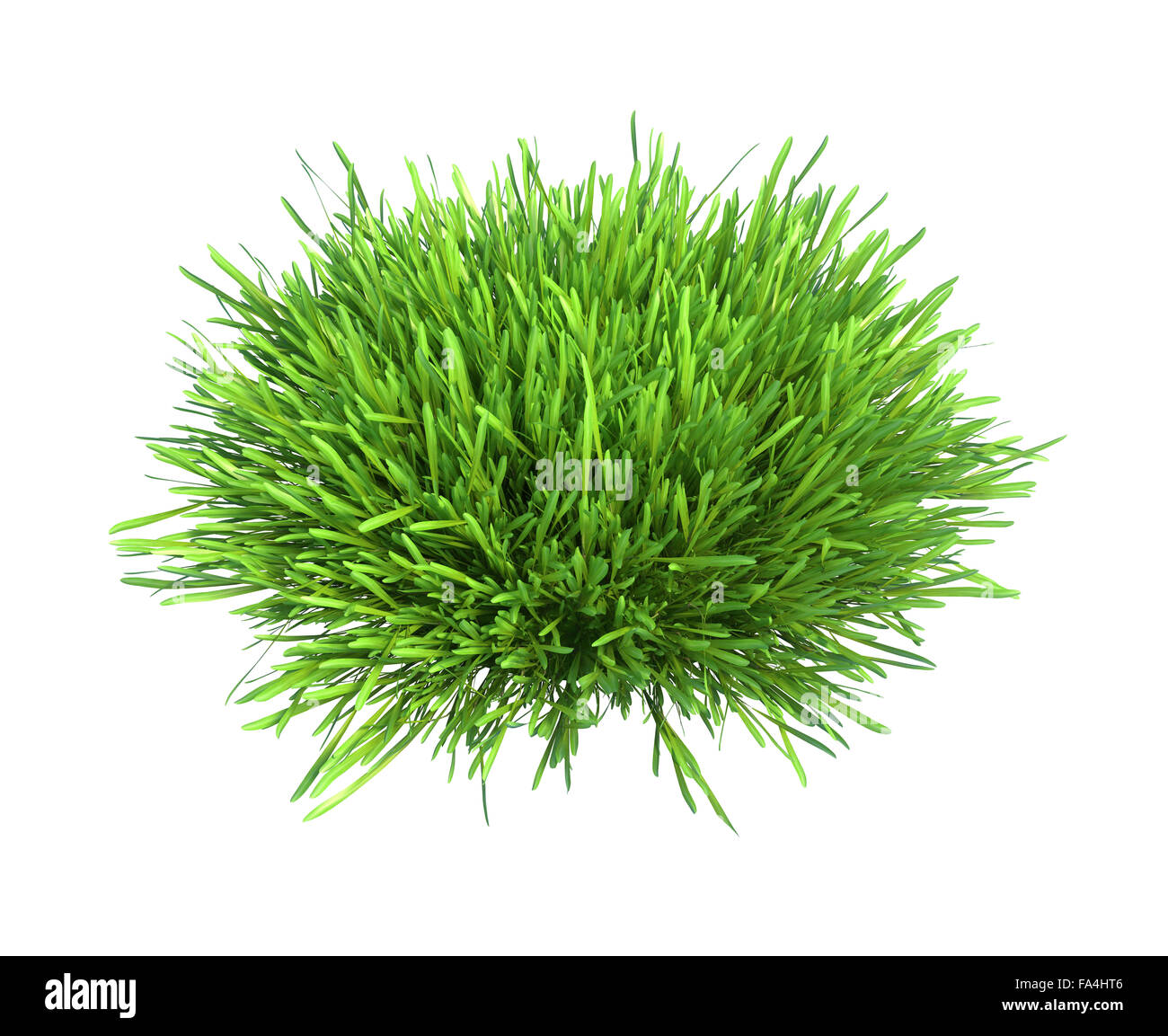 L'herbe verte fraîche pièce de terre isolé sur fond blanc Banque D'Images