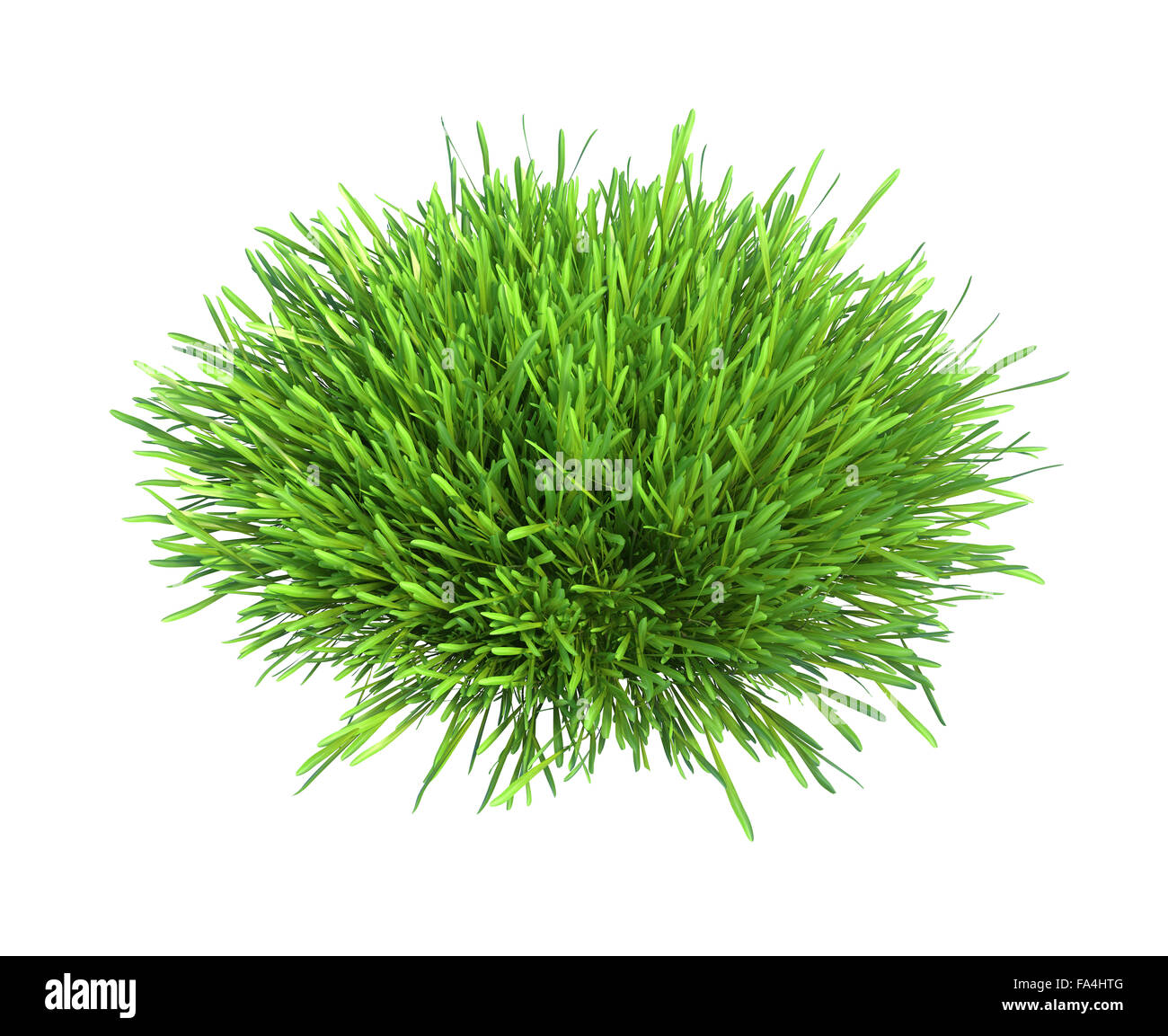 L'herbe verte fraîche pièce de terre isolé sur fond blanc Banque D'Images