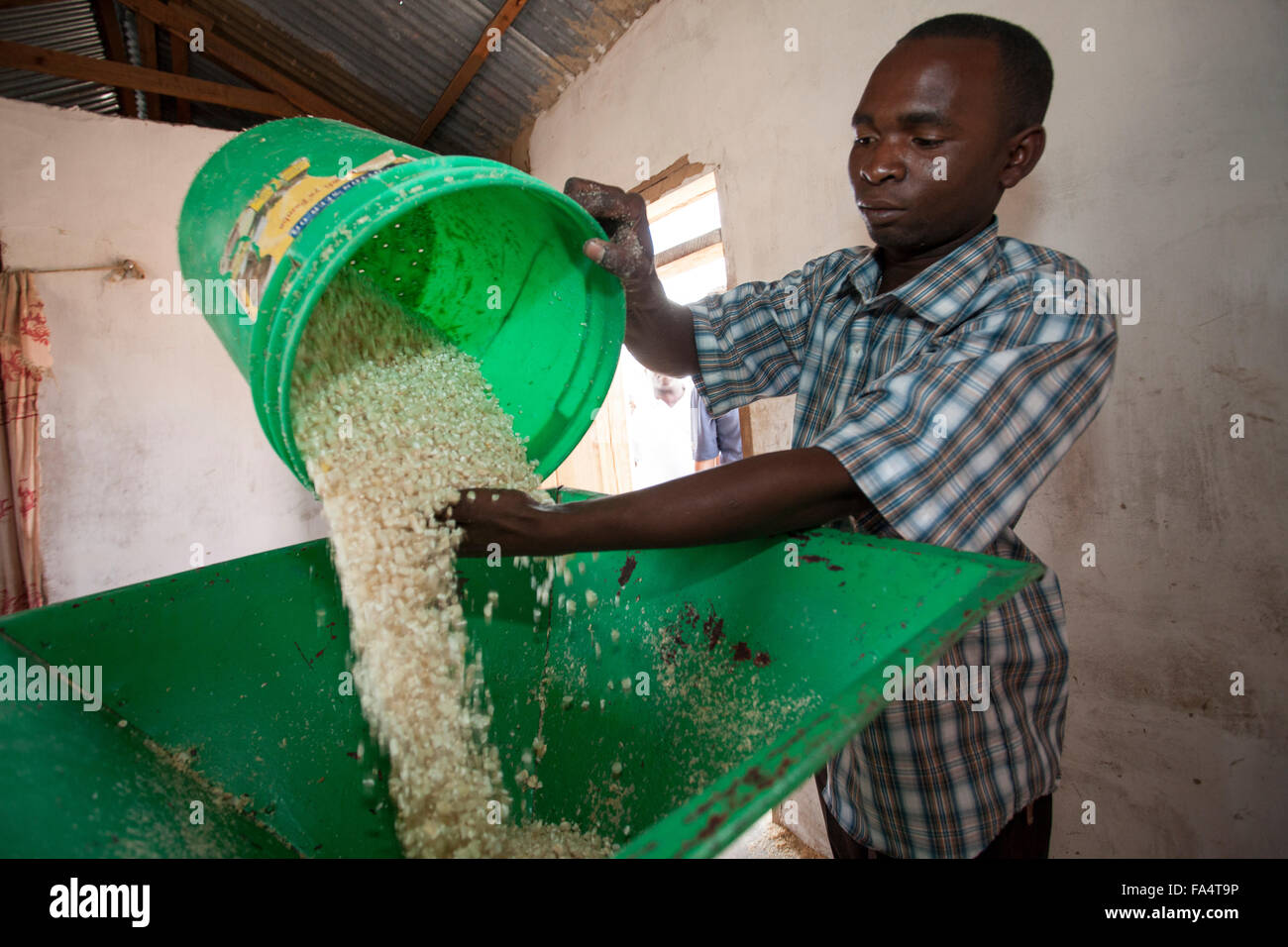 Un homme utilise l'électricité pour l'exploitation d'un moulin à farine de la région de Dodoma, en Tanzanie. Banque D'Images