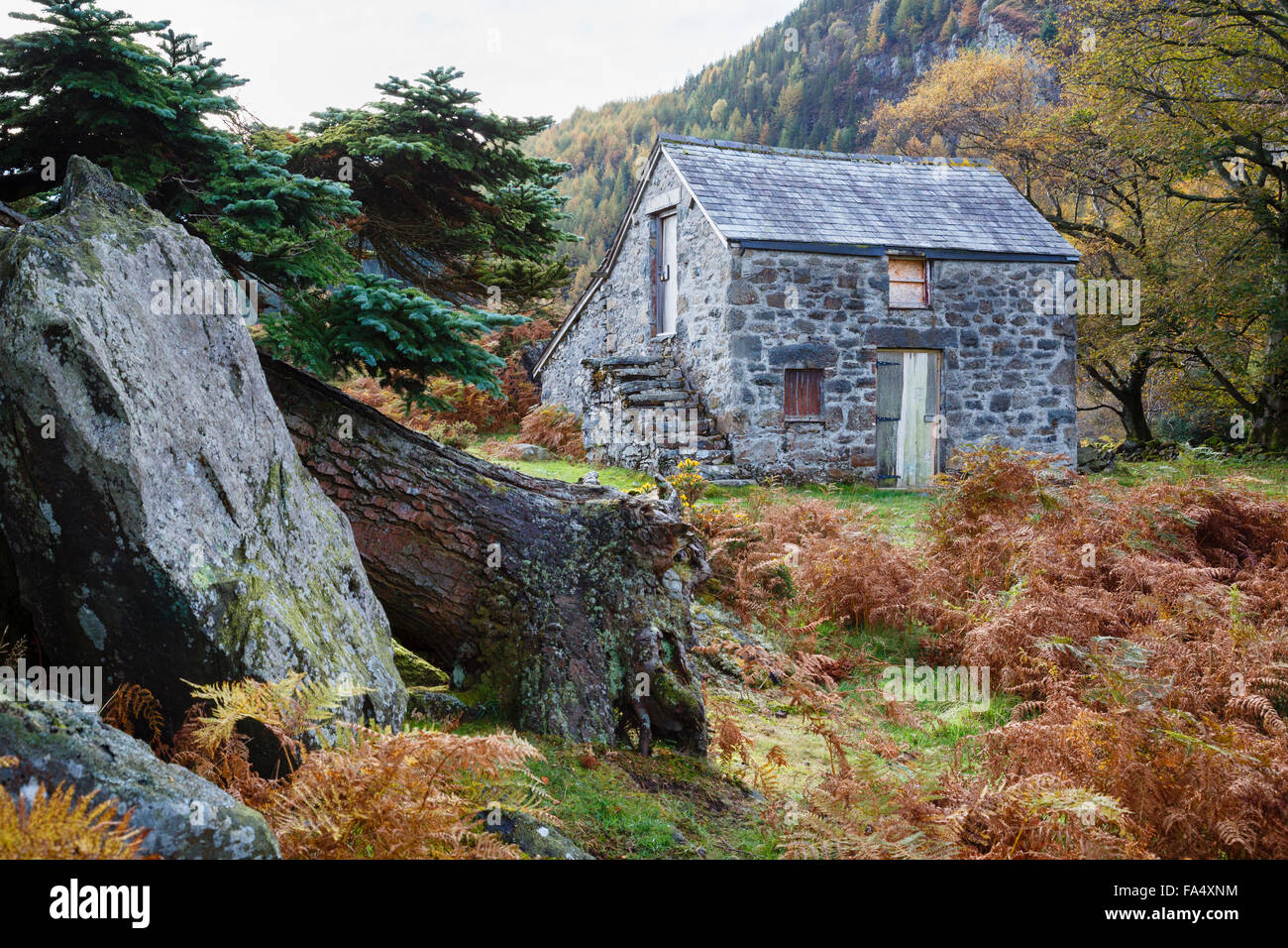 Ancienne ferme traditionnelle à Gwydyr Forest Park dans le parc national de Snowdonia (Eryri) en automne. Le Nord du Pays de Galles Conwy UK Grande-Bretagne Banque D'Images