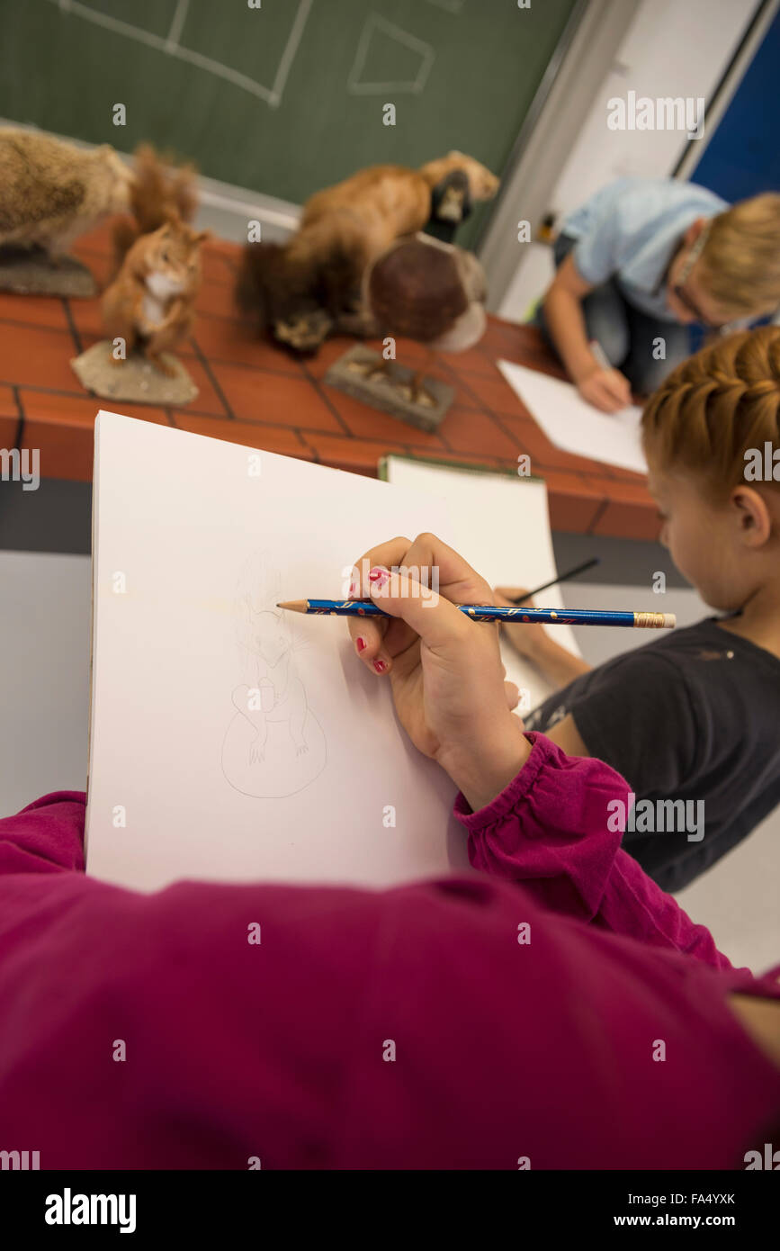 Les étudiants réalisant des croquis d'animaux sur leurs blocs de croquis en cours de biologie, Fürstenfeldbruck, Bavière, Allemagne Banque D'Images