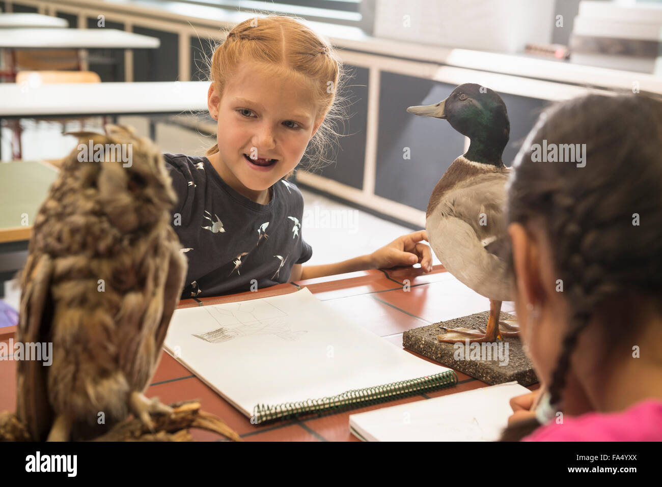 Des écolières faisant des croquis d'animaux sur leurs blocs de croquis en classe de biologie, Fürstenfeldbruck, Bavière, Allemagne Banque D'Images