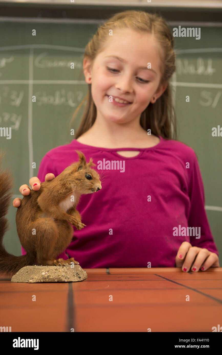 Écolière examinant un écureuil en classe de biologie, Fürstenfeldbruck, Bavière, Allemagne Banque D'Images